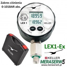 lex1-ex 101bar abs.